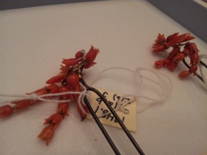 20150318_111245