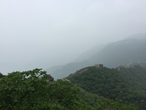 卫飞凰-4