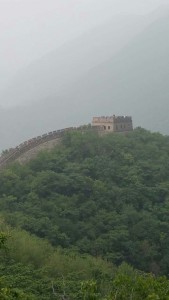 金智媛-2