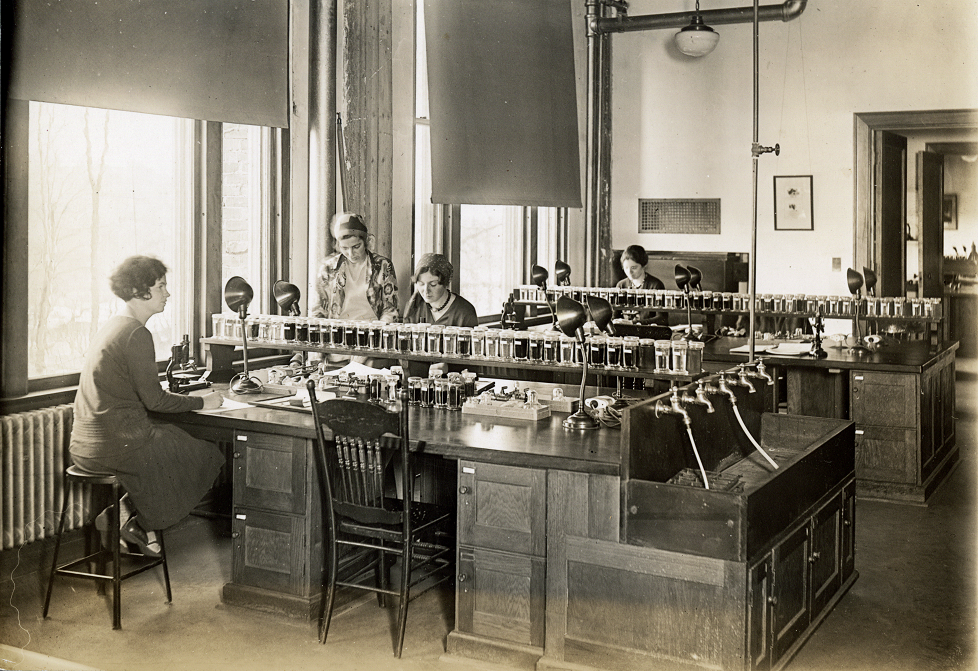 Four students work at wooden desks in a chemistry classroom. The classroom has large, sunlit windows.