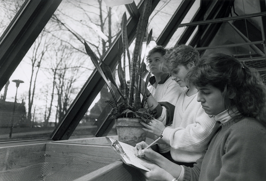 Three students study a plant in the greenhouse. They are lined up in a row and all are wearing sweaters. The student closest to the camera is writing notes on a paper. The plant has tall, straight leaves.