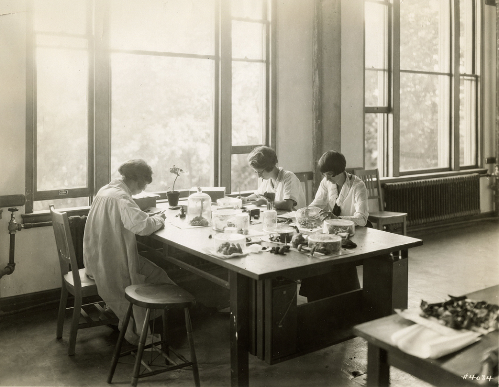 Three young female students sit at a lab table, studying small plants. They're writing notes and not looking at the camera. The classroom has large windows, with lots of sunlight shining in.