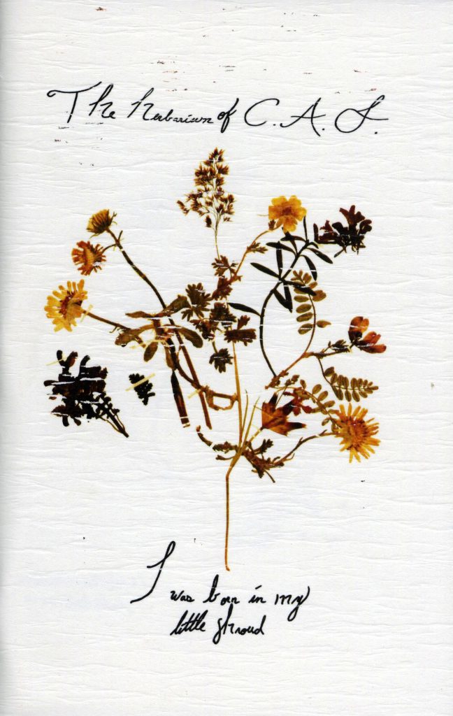 Book cover with pressed yellow and orange flowers titled "The Travel Herbarium of C.A.S. Book".