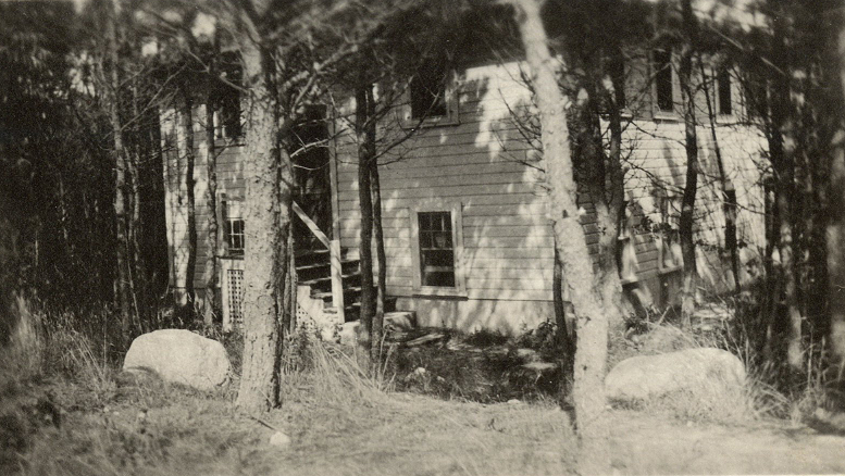 A side view of a wooden cabin in the woods. Trees and rocks surround the cabin. There is a small staircase on the side of the cabin, and many windows.