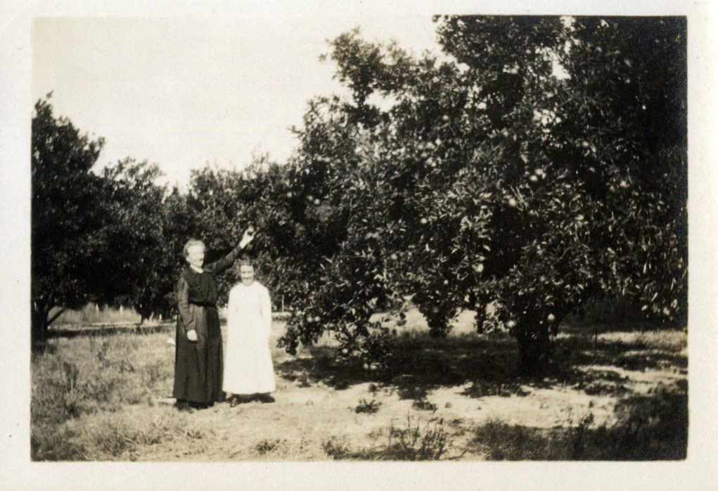 Two women pose outside next to a tree. One women is reaching up, grabbing fruit from the tree.