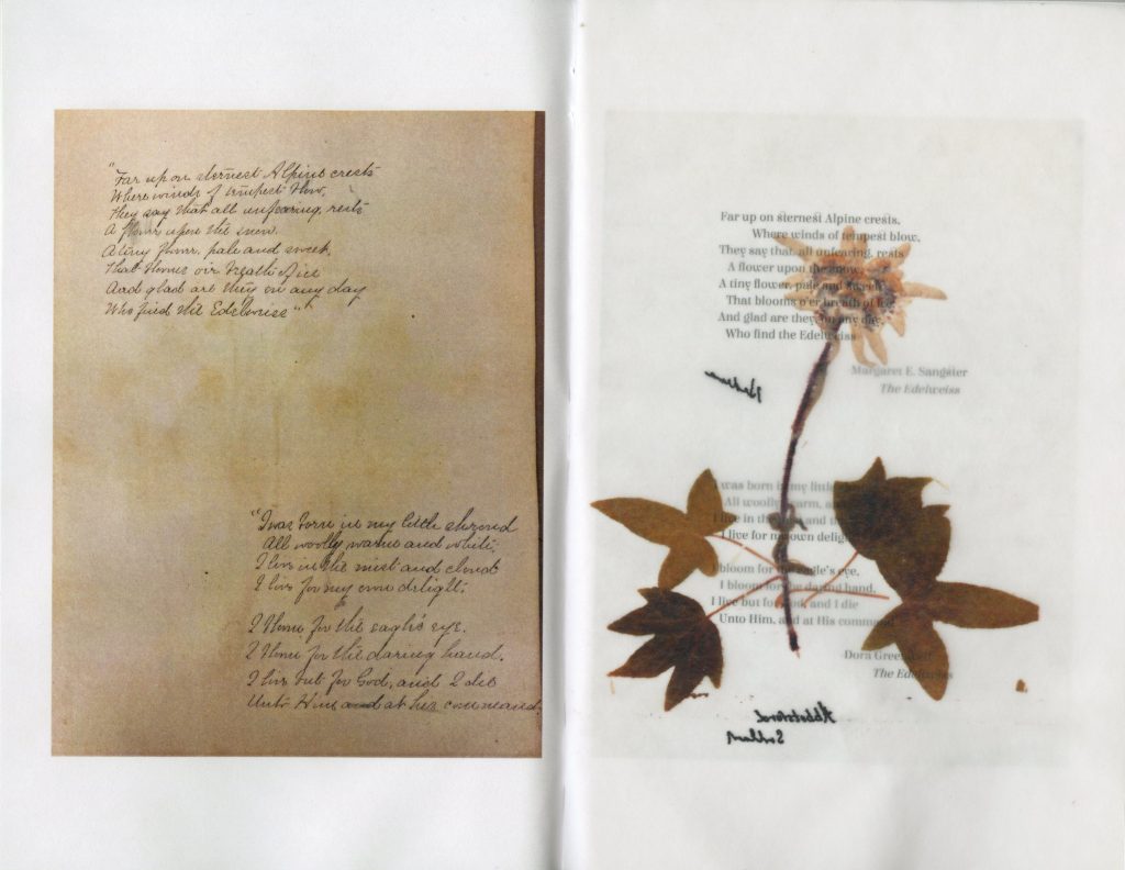 A handwritten pome next to a pressing of brown leaves.