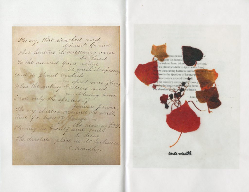 A handwritten poem next to pressed gold, red, and brown leaves.