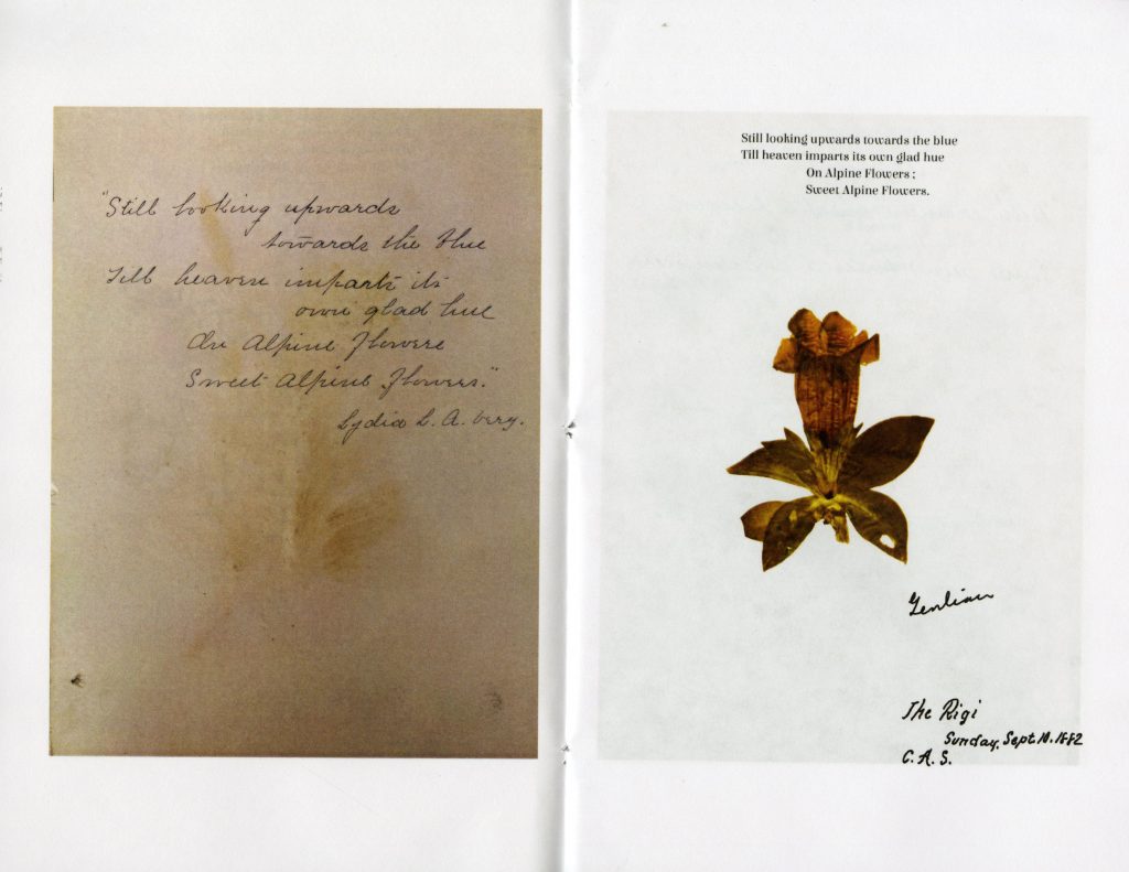 A handwritten poem next to a pressed, brown, bell-shaped flower. Above the flower, text reads "Still looking upwards towards the blue Till heaven imparts its own glad hue On Alpine Flowers; Sweet Alpine Flowers. The Rigi, Sunday, Sept. 10, 1882, C.A.S."