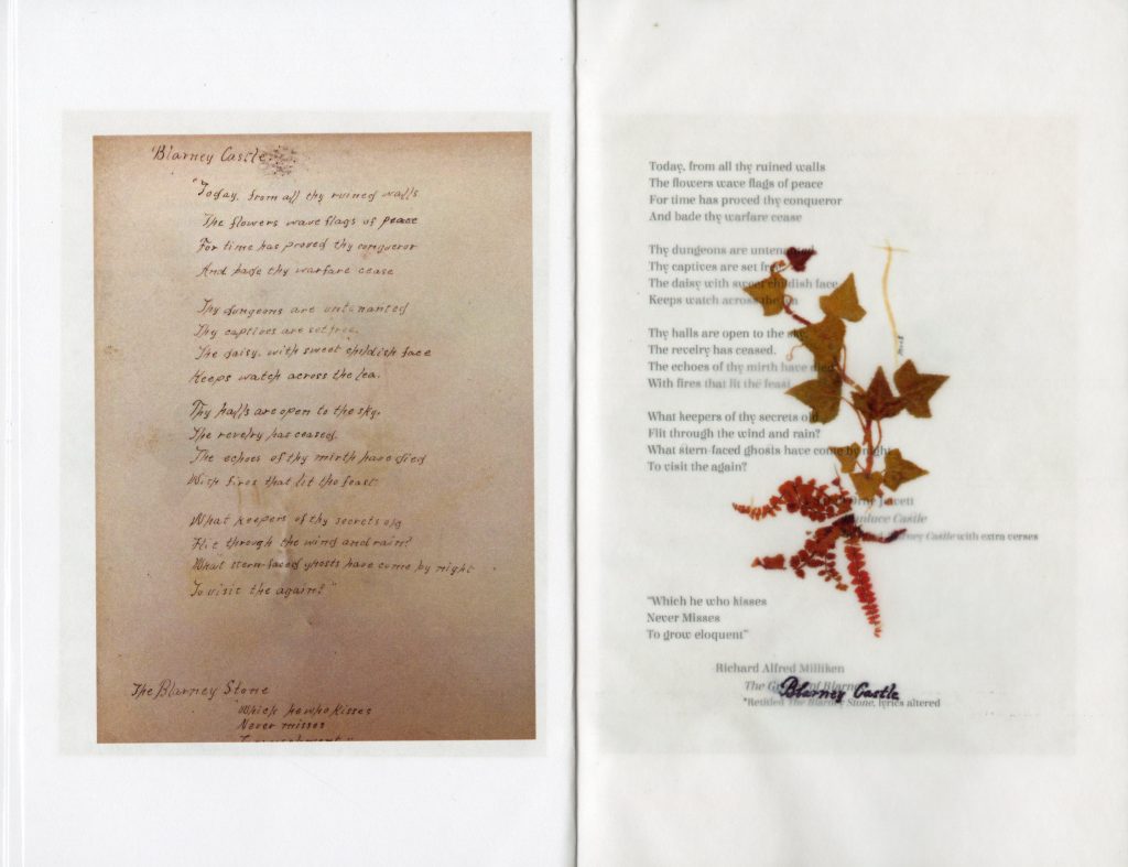 A handwritten poem next to a pressing of ivy and small, red leaves.