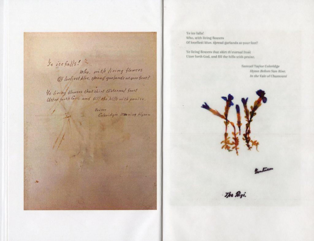 A handwritten poem next to pressed, small, blue flowers.