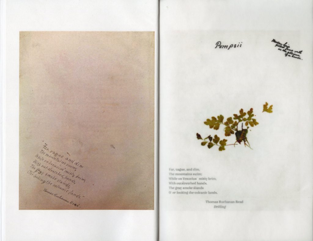 A handwritten poem next to pressed, green leaves.