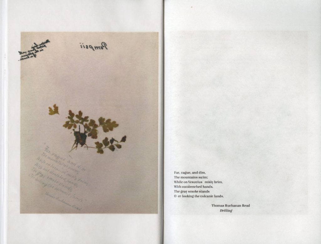 Pressed green leaves next to text which reads "Far, vague, and dim, The mountain swim; While on Vesuvius' misty brim, With outstretched hands, The gray smoke stands O'er looking the volcanic lands. Thomas Buchanan Read, Drifting."