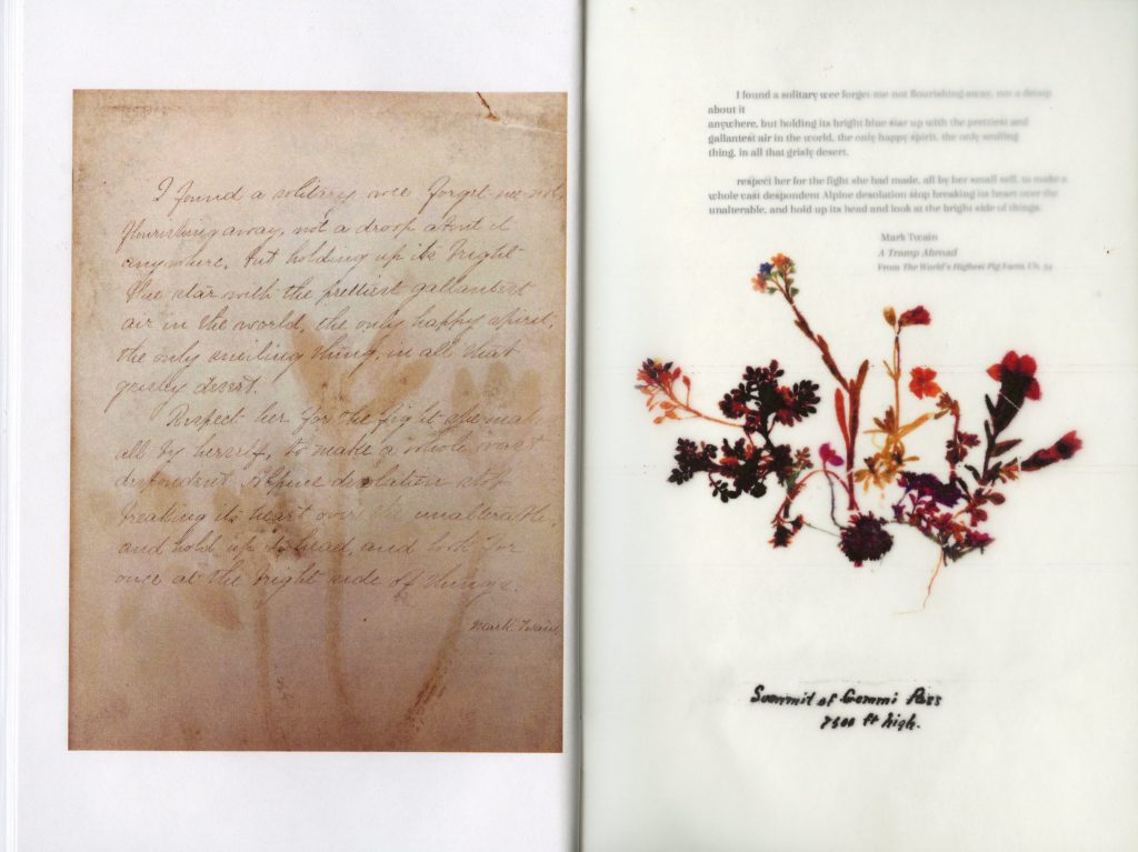 A handwritten poem next to a pressing of red wildflowers.