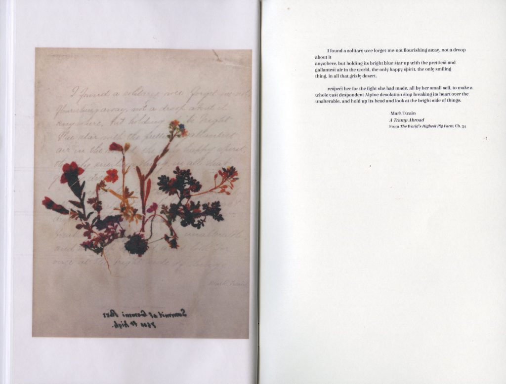 Pressed red wildflowers next to text which reads "I found a solitary wee forget-me-not flourishing away, not a droop about it anywhere, but holding its bright blue star up with the prettiest and gallantest air in the world, the only happy spirit, the only smiling thing, in all that grisly desert. Respect her for the fight she had made, all by her small self, to make a whole vast despondent Alpine desolation stop breaking its heart over the unalterable, and hold up its head and look at the bright side of things. Mark Twain, A Tramp Abroad, From The World's Highest Pig Farm, Ch. 34."