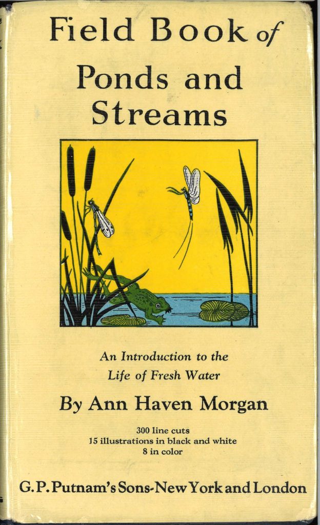 Book cover titled "Field Book of Ponds and Streams, An Introduction to the Life of Fresh Water." Written by Ann Haven Morgan. A drawing of a pond with lily pads and bulrush, as well as flies and frogs. The book cover is a light yellow.