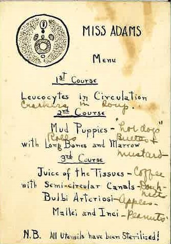 Handwritten menu which reads "MISS ADAMS MENU. 1st Course: Leucocytes in Circulation. 2nd Course: Mud Puppies with Long Bones and Marrow. 3rd Course: Juice of the Tissues with Semicircular Canals. Bulbi Artcriosi. Mallci and Inci. N.B. All Utensils have been Sterilized!"