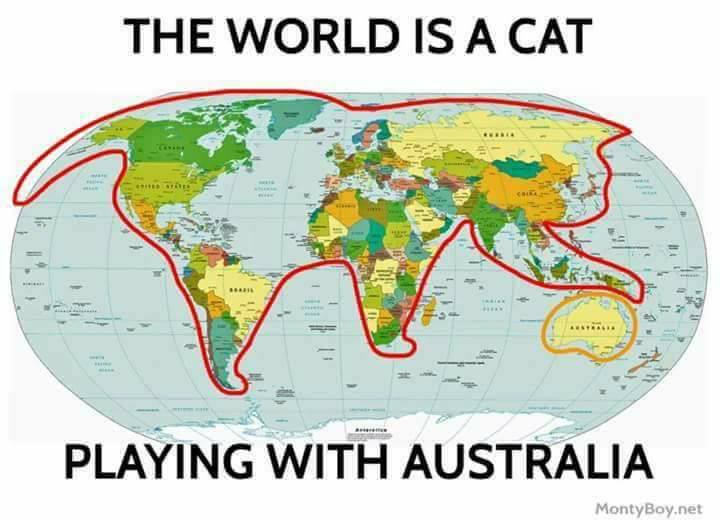 the world is a cat