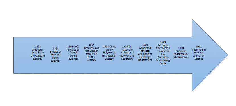 Timeline of Mignon's Early Career Trajectory