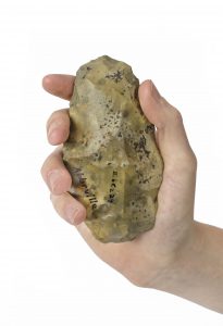 Neolithic stone hand tool, held by Taylor Anderson