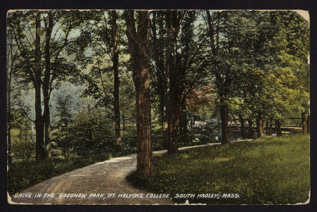 A dirt road winds through a wooded area. A small iron bridge can be seen in the background.