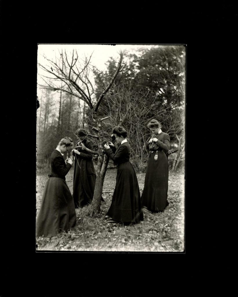 Black and white photograph of four women in long black dresses standing outside surrounding a tree. All are looking down, inspecting specimens in their hands.