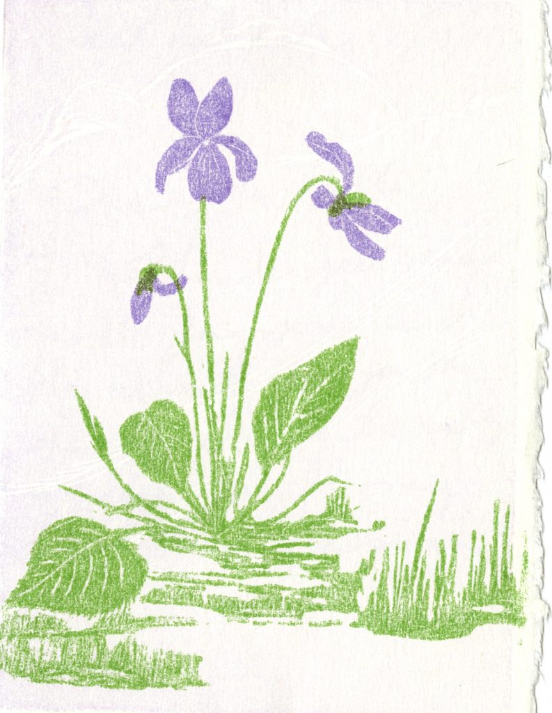 The postcard is in well-preserved condition. Three violets with green leaves. The front of a postcard.