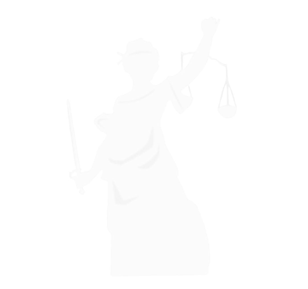The Mount Holyoke Undergraduate Law Journal