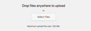 Upload Files Screen