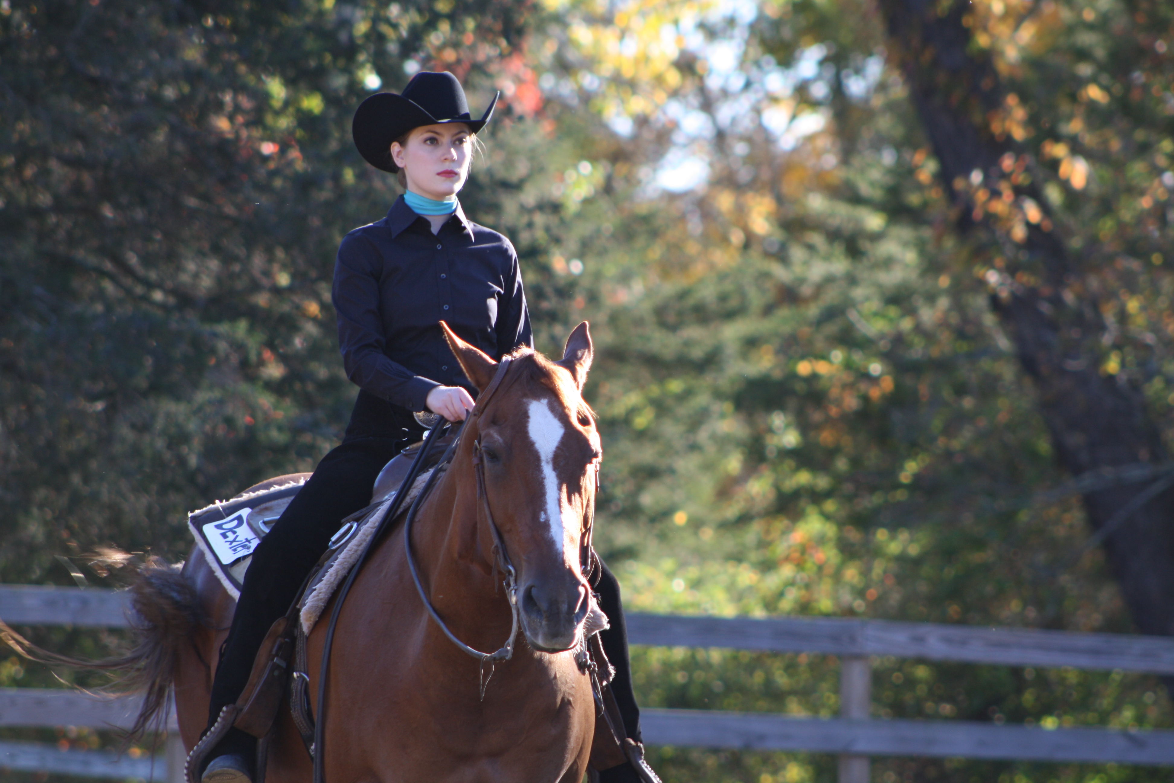 MHC at SHU, 10/10/15