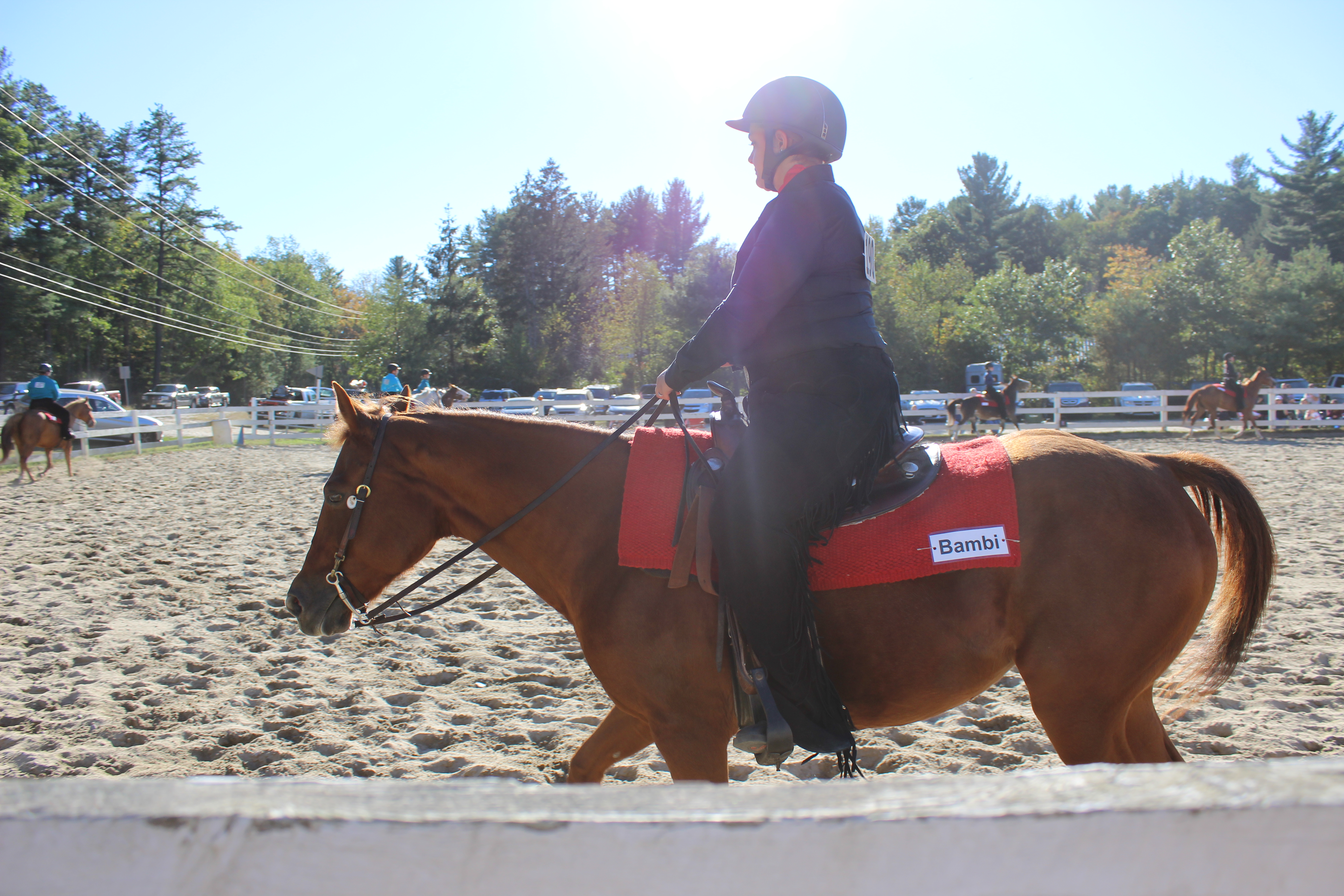 Sophie Thorson on Bambi