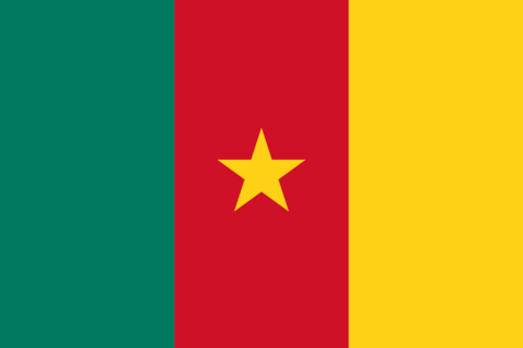 country_flag_of_cameroon_large
