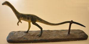 2a-podokesaurus-left-side-crop