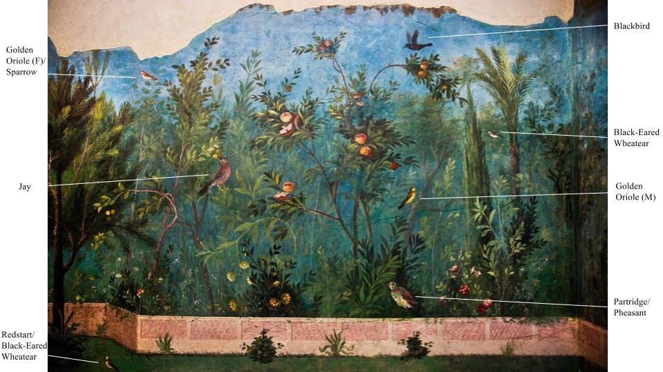 7-20 gardenscape, second style wall paintings, from the villa of livia, primaporta